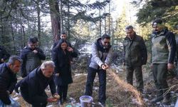 Doğada aç kalan yaban hayvanları için yem bıraktılar