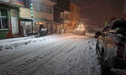 Tunceli’de Cankurtaran Geçidi zincirsiz ağır tonajlı araçlara kapatıldı