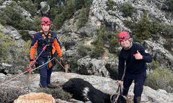 Uçurumda mahsur kalan keçi, itfaiye ekiplerince kurtarıldı