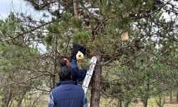 Üniversite öğrencileri kampüsü kuş yuvaları ile donattı