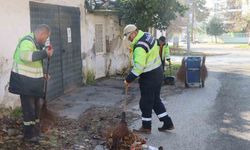 Nazilli Belediyesi’nden Ocaklı Mahallesi’nde kapsamlı temizlik çalışması