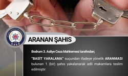 Bingöl’de çeşitli suçlardan aranan 11 kişi yakalandı