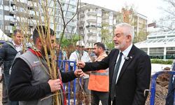 Isparta’da son 3 yılda 180 bin meyve fidanı toprakla buluştu