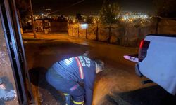 Siirt’te sağanak yağış ve dolu hayatı felç etti
