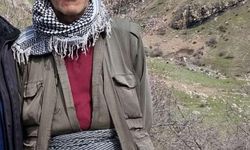 Şırnak’ta 60 yaşındaki çoban ölü bulundu