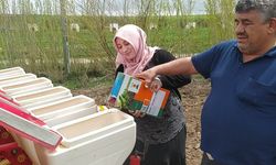 Traktörün direksiyonuna geçen kadın çiftçi, erkeklere taş çıkartıyor