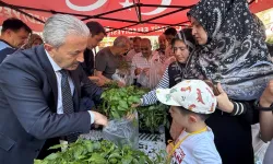 Kocaeli İzmit Belediyesinden halka fide desteği