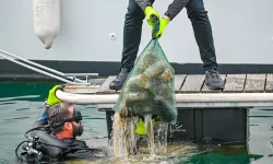 5 ton çöp toplandı, güneş enerjisi kullanımı arttı