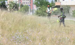 Kocaeli Çayırova'da boş arazilerdeki otlar biçiliyor