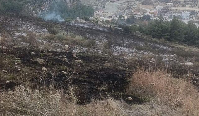 Antakya’da makilik yangını