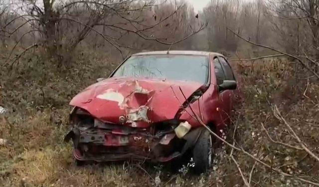 Bartın’da otomobil domuza çarptı: Sürücü yaralandı