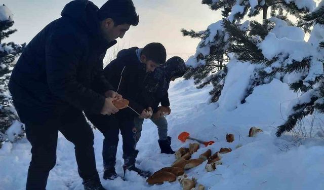 Bayburt’ta öğrenciler hayvanlar için doğaya yiyecek bıraktı