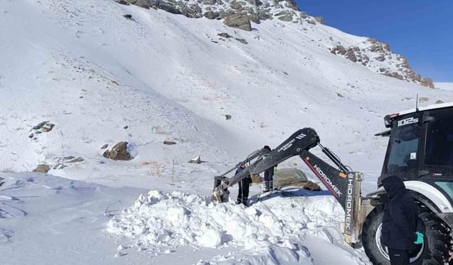 Hakkari 3 bin 500 rakımda zorlu çalışma