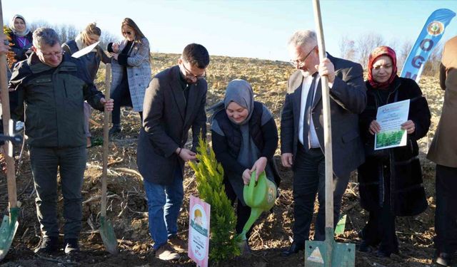 Her bebek bir fidan: Yeni doğan bebekler adına fidan diktiler