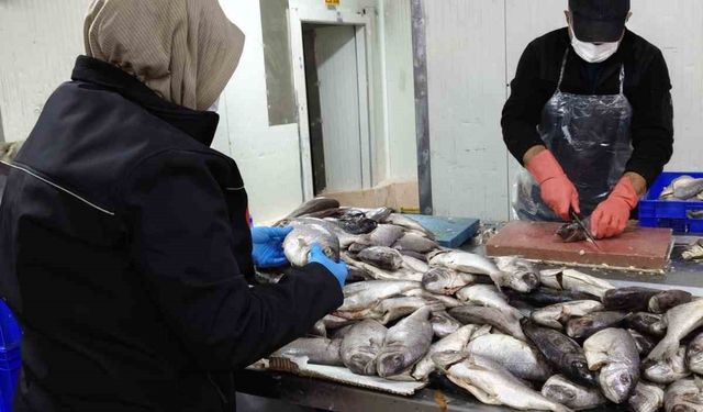 Hüyük’te balık işleme tesisi ve restoranlarına denetim