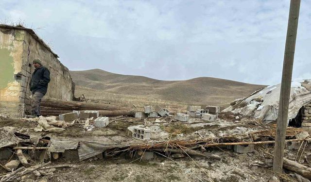 Muş’ta ahır çöktü: 30 küçükbaş hayvan telef oldu