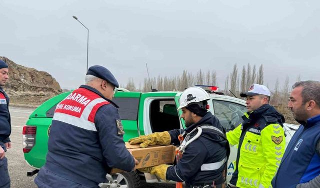 Muş’ta elektrik tellerine sıkışan puhu kuşu kurtarıldı