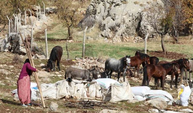 Şırnak’ta göçerlerin kışlaklara doğru zorlu yolculukları devam ediyor