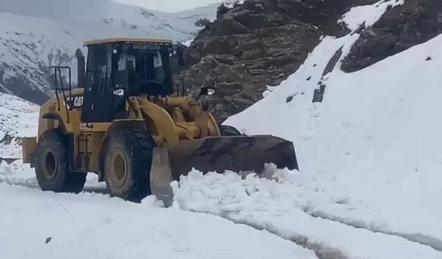 Batman’da 7 köy ve mezra yolu kar yağışı nedeniyle kapandı