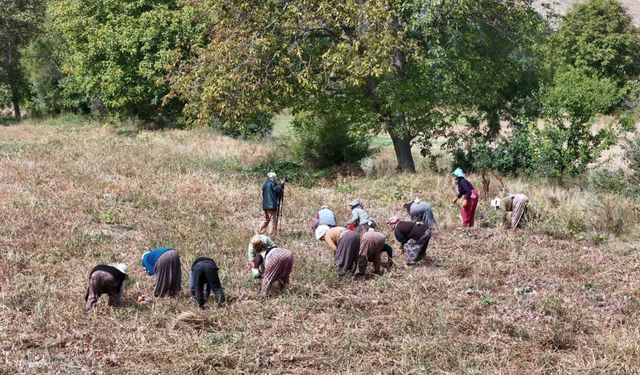 Çiftçilere destek ödemesi bugün yapılacak