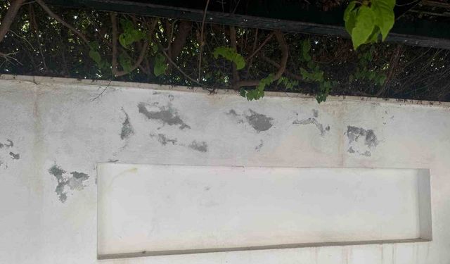 Datça’da 250 metre uzunluğundaki duvar imece usulü boyandı