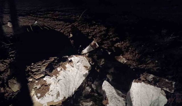 Define avcıları Tiktok’tan yakayı ele verdi