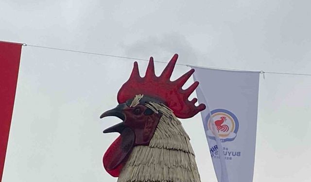 Denizli Horozu doludan nasibini aldı