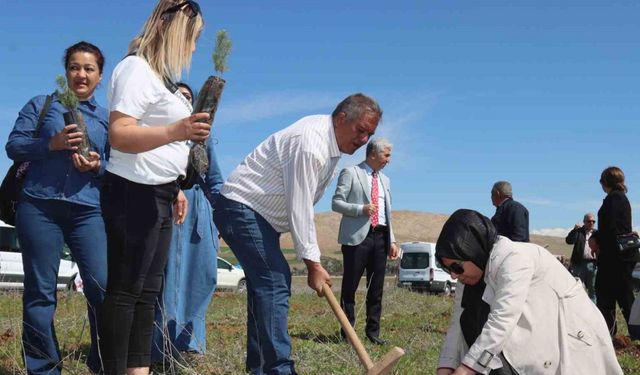 Elazığ’da ‘Aile Yılı hatıra ormanı’ oluşturuldu