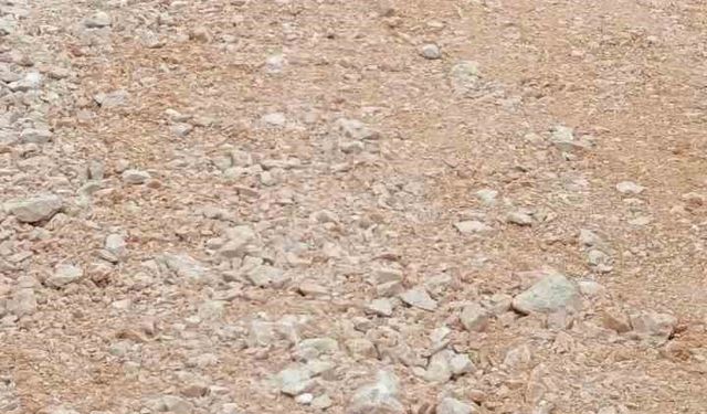 İş makinesi can aldı: 1 ölü