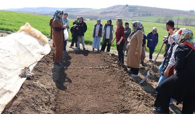 Kadın çiftçilerle sebze fidesi yetiştirme kursu düzenlendi