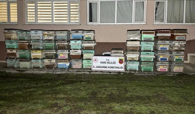 Kağızman’da arı kovanı hırsızları yakalandı