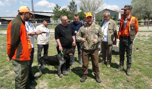 Kütahya’da Fermalı Av Köpekleri Mera Yarışması düzenlendi
