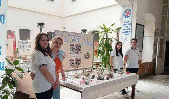 Liseli gençler, okulun ekosistemini değiştirdi