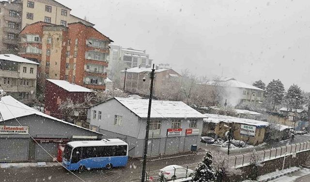 Nisanda lapa lapa kar yağışı