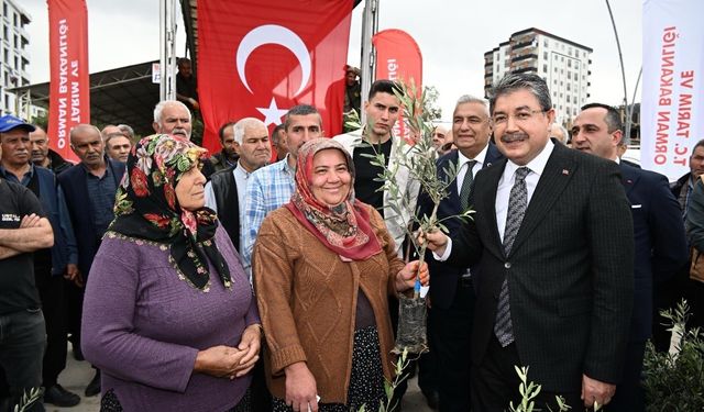 Osmaniye’de üreticiye 11 bin 500 sertifikalı zeytin fidanı dağıtıldı