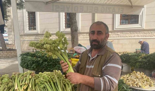 Şifa deposu ışkın, tezgahtaki yerini aldı