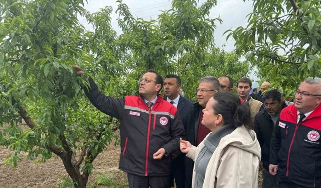 Tarım ve Orman Bakan Yardımcısı Gizligider, Denizli’de zirai dondan etkilenen tarımsal alanları inceledi