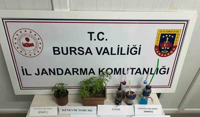 Uyuşturucu partisine jandarma baskını: 8 gözaltı