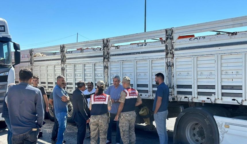 Diyarbakır’da sevk belgesi olmayan 384 adet hayvan kontrole takıldı