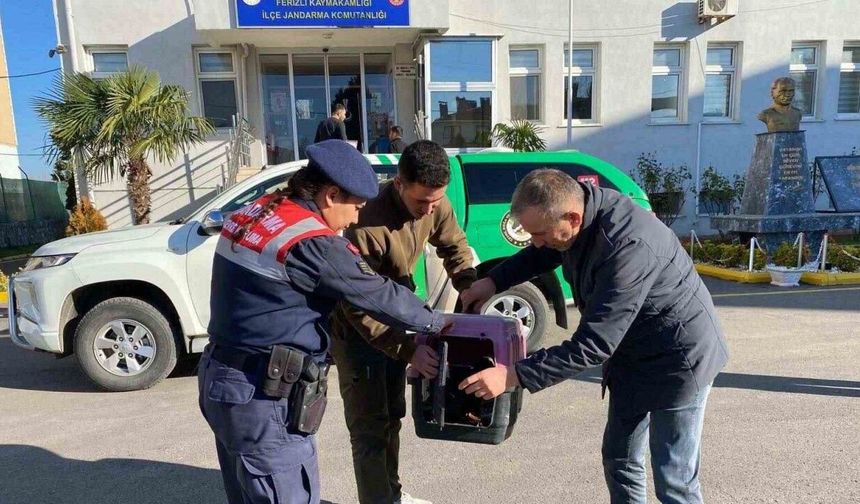 Sakarya’da kaçak avcılık yapan şahsa 48 bin 250 TL ceza