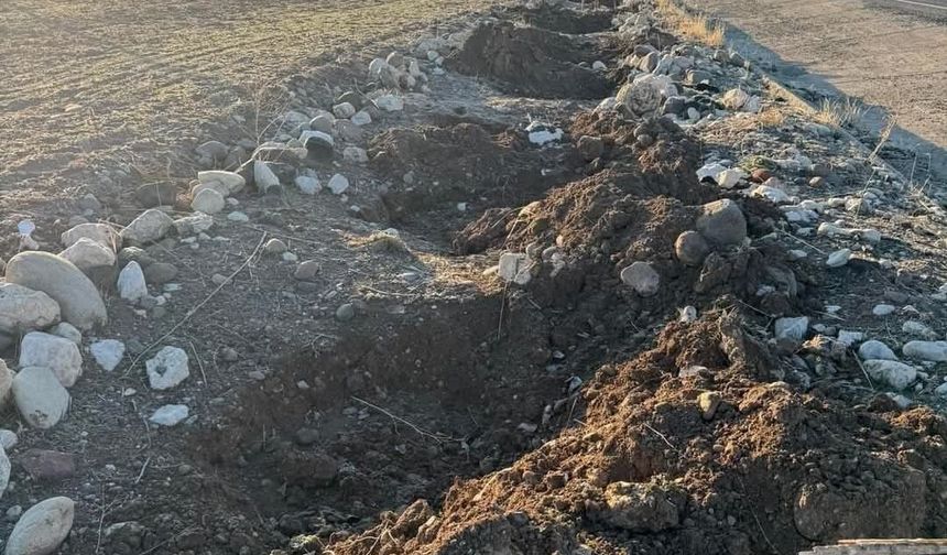 Tunceli’de yol kenarında dikili fidanlar çalındı, belediye başkanı tepki gösterdi