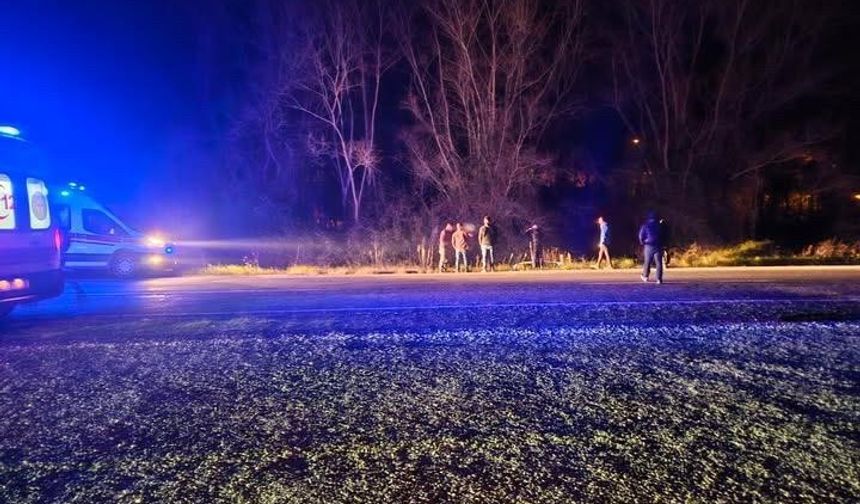 Yola aniden çıkan domuza çarpan otomobil şarampole uçtu