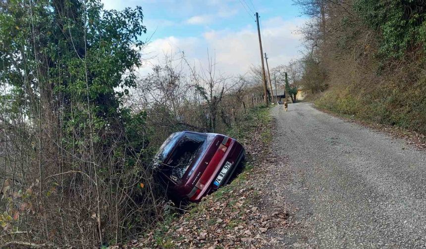 Yoldan çıkan araçtan yara almadan kurtuldu