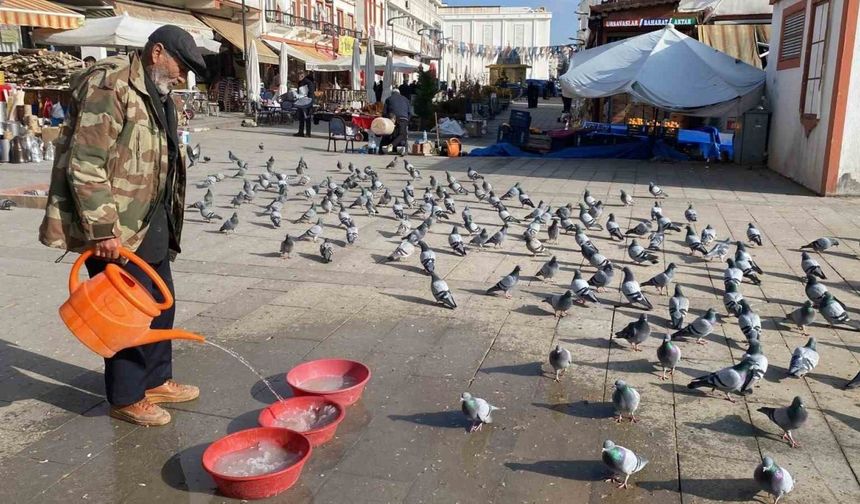 Yozgat esnafından güvercinlere şefkat eli