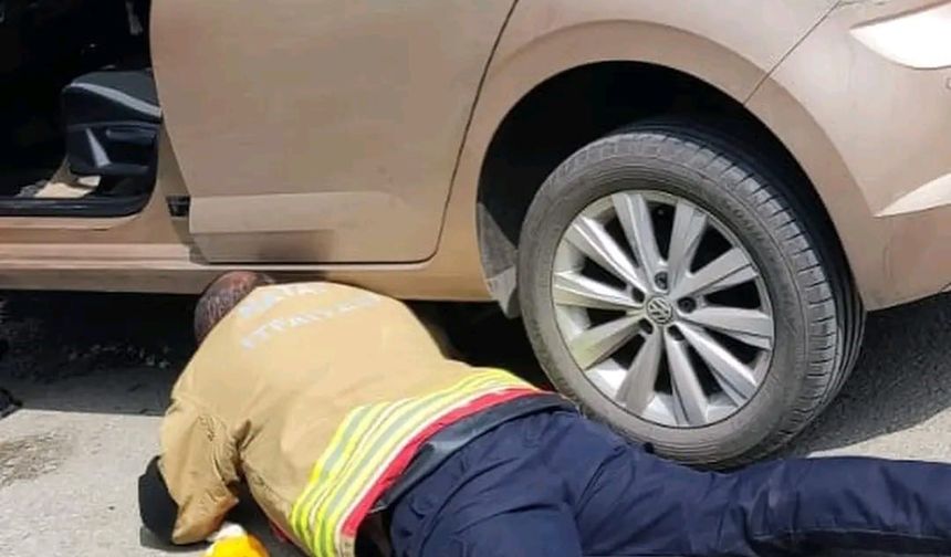 Aracın kaputuna giren yavru kediyi itfaiye kurtardı