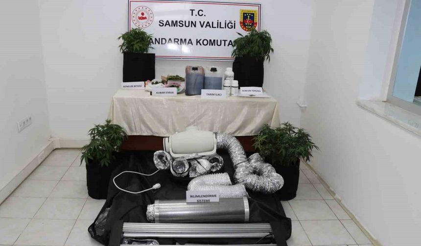 Evine iklimlendirme sistemi kurup kenevir yetiştirdi, jandarmaya yakalandı