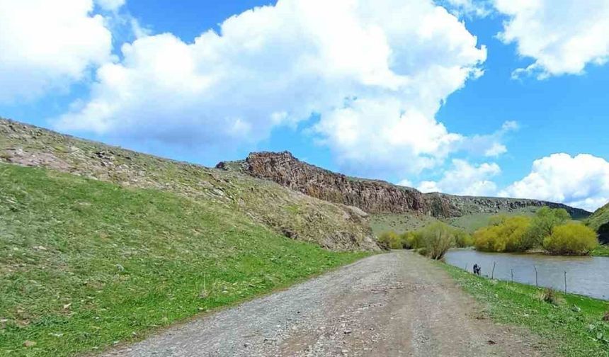 Kars’ta köylüler Akyaka Kanyonu’nu ağaçlandırıyor