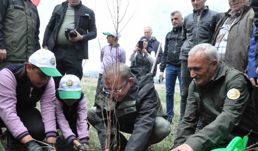 Kars’ta meyve ağaçları toprakla buluştu