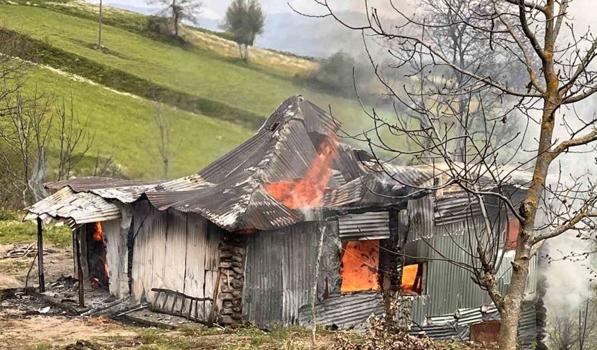 Ordu’da yaşlı adamın evi, çıkan yangında küle döndü