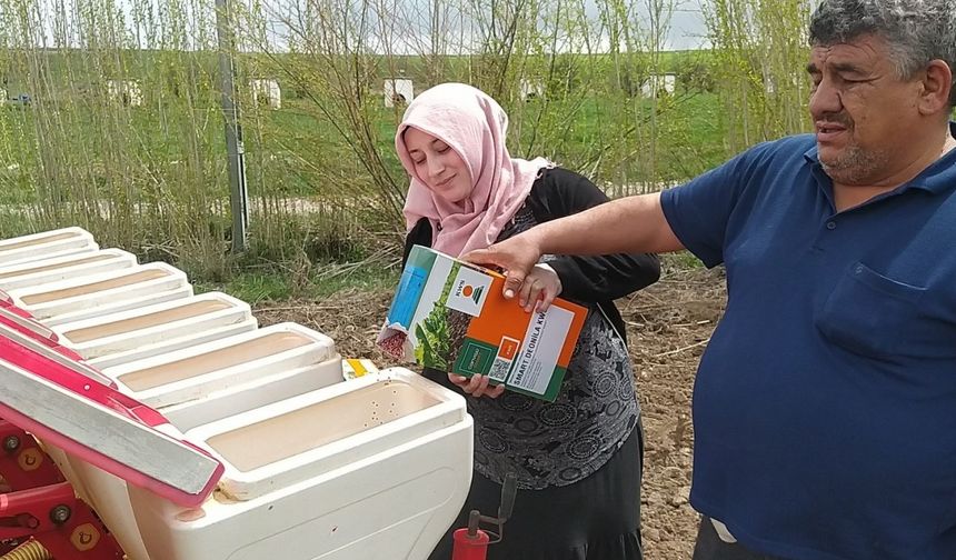 Traktörün direksiyonuna geçen kadın çiftçi, erkeklere taş çıkartıyor